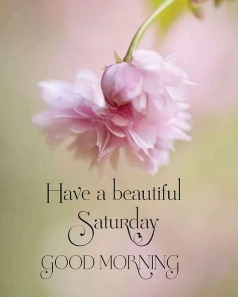 Good Morning Saturday Images with Beautiful Quotes 14 Saturday Good Morning, Happy Saturday Pictures, Good Morning Saturday Images, Happy Saturday Quotes, Saturday Morning Quotes, Happy Saturday Images, Saturday Greetings, Saturday Images, Daily Wishes