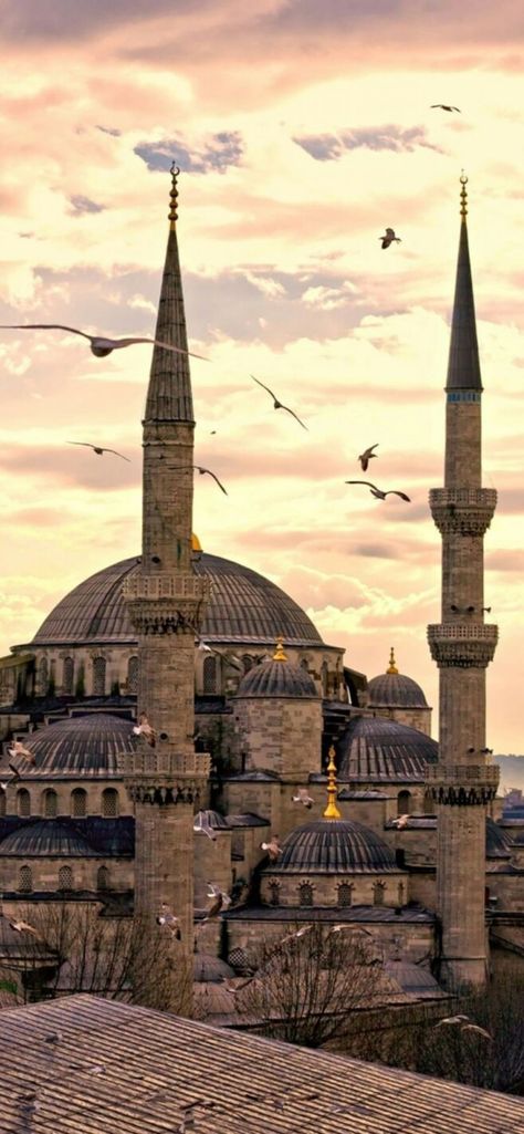 Wallpaper Mosque, Hagia Sofia, Hagia Sophia Istanbul, Byzantine Architecture, Z Wallpaper, City Silhouette, Silhouette Photos, Blue Mosque, Hagia Sophia