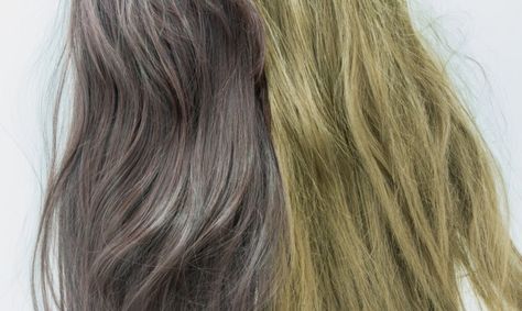 between.   ©Hairfinder.com Photo: Pemastockpic/Shutterstock Gray Hair, Grey Hair, How Can, Vitamins, Health And Beauty, Long Hair Styles, My Style, Hair Styles, Health