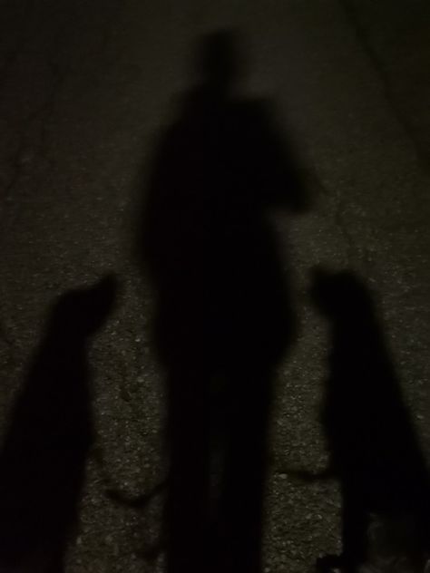 Shadow Dog Art, Dogs Aesthetic Dark, 4 Morant, Night Dog Walking, Cat Shadow, Dark Visions, Self Photography, Scary Dogs, Photos With Dog