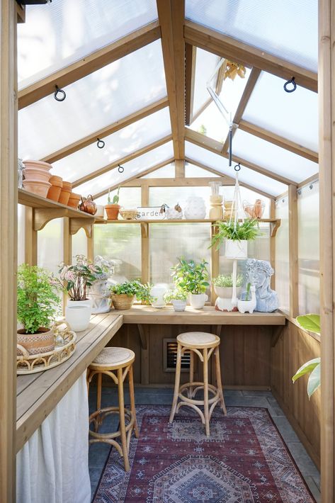 How a Creator Built a Greenhouse in Her Backyard—and Found the Right Rug to Roll Out Inside! - The Roll-Out Small Greenhouse Shelving Ideas, Decorate Greenhouse, Greenhouse Interior Design, Small Greenhouse Ideas Diy, Greenhouse Furniture, Small Backyard Greenhouse, Greenhouse Shelving Ideas, Windows Greenhouse, Greenhouses Ideas