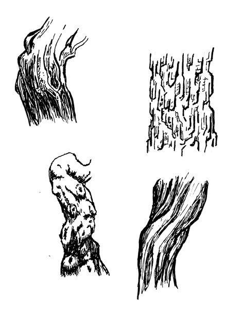 Drawing Tree Bark, Tree Trunk Texture Drawing, Tree Trunk Reference, How To Draw Tree Bark Texture, Tree Bark Sketch, How To Draw Tree Bark, Tree Trunk Sketch, Tree Texture Drawing, Tree Bark Drawing