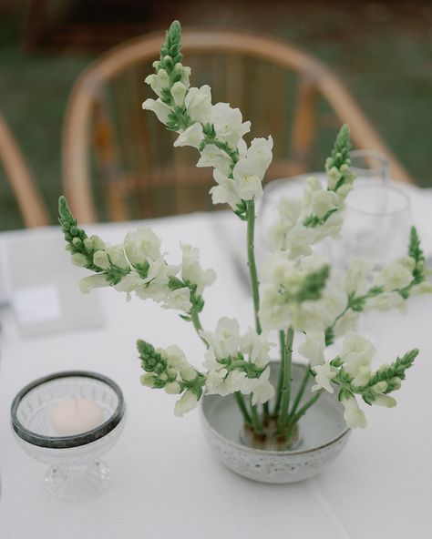 Pure white 🤍 A total white wedding floral setup, created for Tania and Matt’s wedding, in the beautiful natural setting of Casale del Gallo, with a series of light and ethereal compositions, made with kenzan. Each arrangement is different from the other: we compose inspired by the beauty of flowers, their movement and shapes to create unique details. Photo @mcrescentini Venue @casale_delgallo www.anthea-studio.com Floral Design Business, White Flower Arrangements, Sustainable Flowers, Beauty Of Flowers, Total White, Flower Frog, Wedding Arrangements, Rustic Chic Wedding, Wedding Flower Arrangements