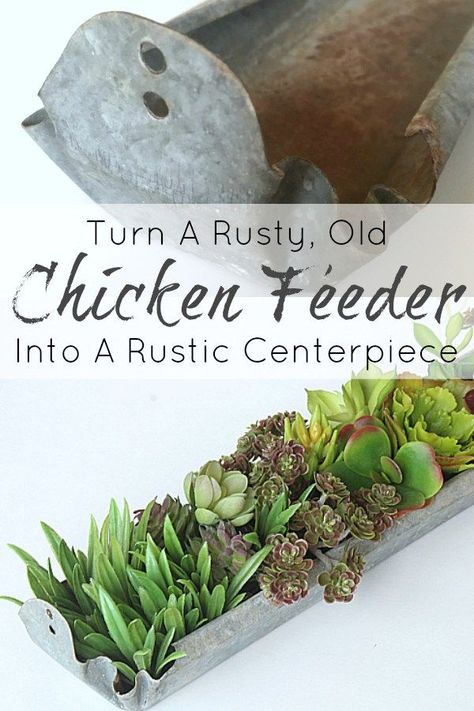 Learn how to transform a rusty, old object into a beautiful centerpiece! This old chicken feeder was found castaway on the farm… But with a little bit of cleaning and a little bit of vision, it now now has now been re-purposed into a lovely piece of art for our home. #rustic #ChickenFeeder #HomeDecor #Succulents #upcycle #Farmhouse #farmhousestyle Chicken Feeder Decor, Rustic Centerpiece, Chicken Feeders, Rustic Home Interiors, Chicken Feeder, Interior Design Rustic, Rustic Centerpieces, Handmade Beauty Products, Beautiful Centerpieces