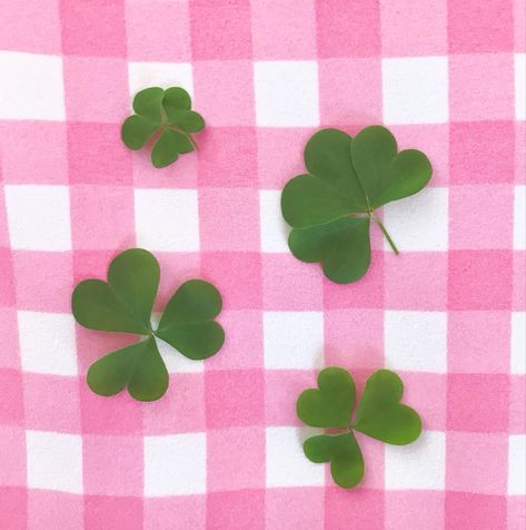 Lucky Clover, Iphone Icon, Lucky Girl, Cute Backgrounds, Four Leaf, Phone Themes, Green Aesthetic, Clover Leaf, Cute Icons