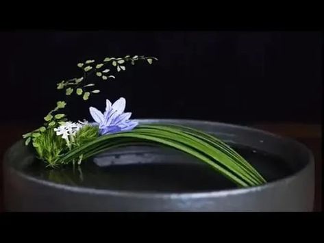 Japanese Floral Arrangements Ikebana, Ikebana Tutorial How To Make, Ikebana Sogetsu Ideas, Fall Ikebana Arrangements, Japanese Flower Arrangement Ikebana, Orchid Ikebana, Ikebana Flower Arrangement Art Floral, Kenzan Flower Arrangement, Modern Flower Arrangements Unique Floral Design