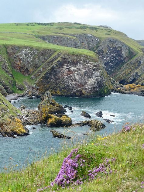 St Abbs Head, Scottish Borders, Cycling holiday part1 St Abbs Scotland, Scottish Highlands Aesthetic, Scottish Moors, Scotland Places To Visit, British Nostalgia, Scottish Coast, Scotland Aesthetic, Gcse Geography, Scotland Trip