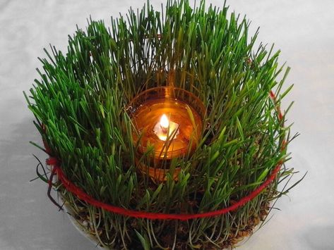 Christmas Wheat, Decoration, Christianity, Orthodox traditions Wheat Decorations, Wheat Grass, Photo Christmas, Free Picture, Christian Christmas, Christmas Images, Free Pictures, Christmas Traditions, Christmas Decoration