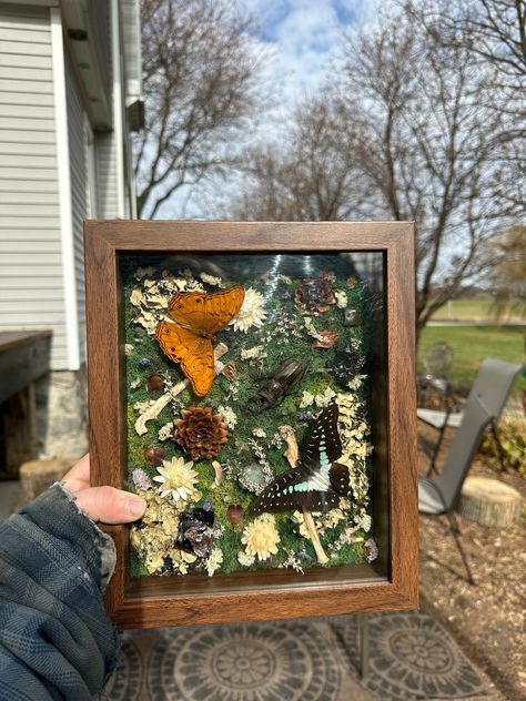 Big shadow box displaying an assortment of bugs and flowers! Everything down to the moss is real and preserved!  **All animal products are sourced ethically** This shadow box includes:  *8x10 brown shadow box    -wall hanging or stand alone (no prop but will still sit upright) *Preserved moss  *All real dried flowers  *Two polished stones  *Two raw black onyx stones  *Two raccoon leg bones  *Two pinecones  *Three misc animal teeth *Real common cruiser butterfly (top left)  *Real common jay butterfly (bottom right)  *Real stag beetle (middle) Framed Nature Wall Art, Bug Shadow Box Insects, Shadow Box Butterflies, Shadow Box Diy Ideas, Insect Shadow Boxes, Shadow Box Dried Flowers, Butterfly Shadow Boxes, Memorial Shadow Box Ideas, Shadow Box Crafts