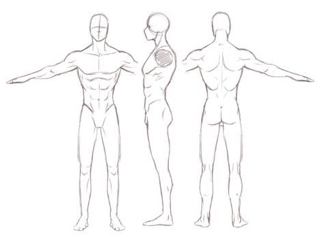 T Pose Reference Anatomy, Male Turnaround, 3d Templates, Character Reference Sheet, Character Turnaround, Anime Body, Body Template, Male Anime, Character Template