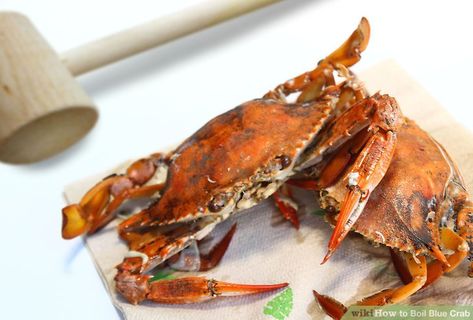 Blue Crab Boil Recipe Cajun, How To Make Crab Boil At Home, Blue Crab Boil, Blue Crab Boil Recipe, Blue Crab Recipe, Blue Crab Recipes, Crab Boil Recipe, Blue Claw Crab, Live Crabs