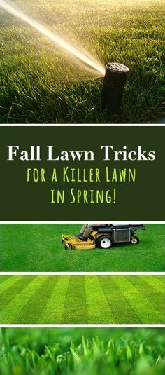 Fall Lawn Tricks for a Killer Lawn in Spring! • The secret to a great lawn lies in fall lawn maintenance. • Check out these tips and ideas! Fall Lawn Maintenance, Fall Lawn Care, Fall Lawn, Aerate Lawn, Lawn Care Tips, Yard Care, Lawn Maintenance, Lawn And Landscape, Casa Exterior