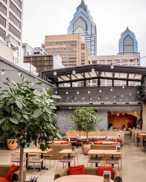 Pod Hotels, Philly Restaurants, Rittenhouse Square, Rooftop Dining, Visit Philadelphia, Brewery Design, Brunch Club, Mexican Beer, Mexican Restaurants