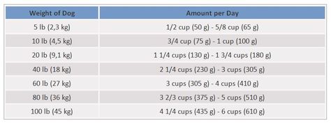 How Much Should Dogs Eat? | Calculate How Much to Feed Your Dog | petMD Diy Dog Food, Crazy Dog Lady, Dancing Cat, Dog Info, Happy Puppy, Labrador Puppy, Healthy Pets, Pet Care Tips, Puppy Care