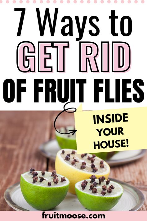 7 Natural Ways to Easily Get Rid of Fruit Flies In Your House - Fruit Moose Homemade Fruit Fly Trap, Fruit Flies In House, Fruit Fly Trap Diy, Dragon Fruit Juice, Making Apple Cider, Lemon Diy, Fruit Facts, Fruit Juice Recipes, Lemon Uses