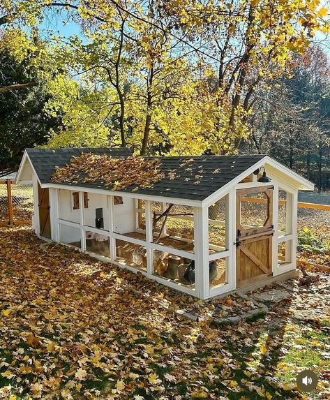 Kandang Hamster, Chicken Coop Building Plans, Coop Accessories, Cute Chicken Coops, Chicken Coop Garden, Chicken Coup, Backyard Chicken Coop Plans, Diy Chicken Coop Plans, Backyard Chicken Farming