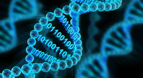 Genetic Algorithm, Dna Molecule, Computer Virus, Personalized Medicine, Binary Code, Digital Data, Biotechnology, Data Storage, Data Science