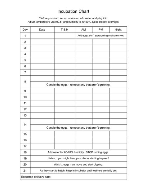 Chart for incubating chicken eggs Chick Incubation Chart, Unwashed Eggs Chart, Chicken Egg Incubation Chart, Chicken Egg Development Chart, Chicken Record Keeping, Chicken Incubation Chart, Quail Incubation Chart, Selling Chicken Eggs, Egg Incubation Chart