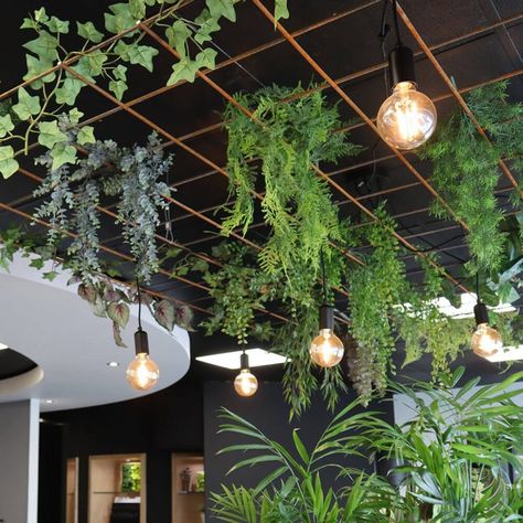 EnviroGrid - For Better Workplace Environments | Vantage Spaces Outdoor Restaurant Design, Rustic Restaurant, Bar Interior Design, Hanging Plants Indoor, Model House Plan, Bar Interior, Deck Lighting, Bar Design Restaurant, Outdoor Restaurant