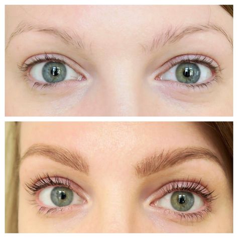 HD brows lash lift and tint - Before and after photos. Lift Eyebrows, Lash And Brow Tint, Eyebrow Tint, Hd Brows, Eyelash Tinting, Brow Tint, Daily Makeup Routine, Lash Tint, Henna Brows