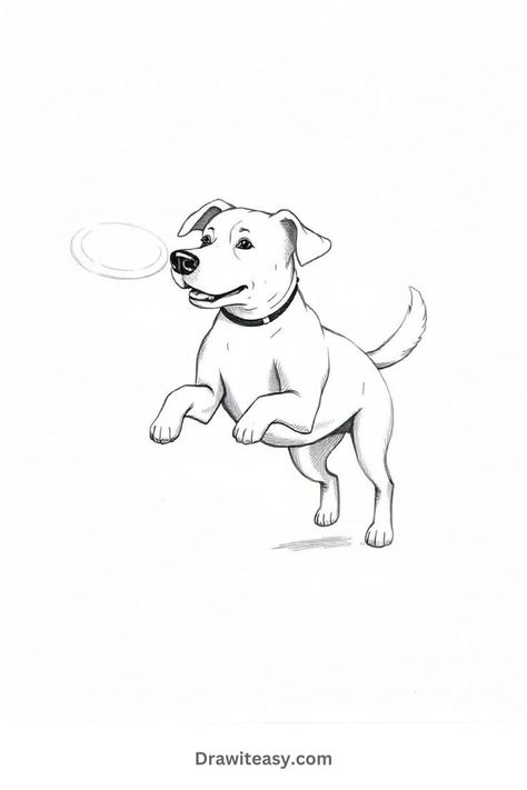 A playful dog, mid-jump, trying to catch a frisbee in the air, drawn in a detailed black-and-white sketch. Dog Playing Drawing, Dog Movement Drawing, Playful Dog Drawing, Dog Sniffing Drawing, Dog And Owner Drawing, Dog Drawing For Kids, Cute Dog Drawing, Animal Drawings Sketches, Black And White Sketches