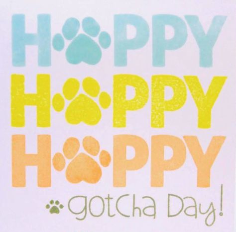 Gotcha Day Quotes Dog, Happy Gotcha Day Dog Quotes, Gotcha Day Quotes, Gotcha Day Dog, Puppy Things, Chalkboard Fonts, Dogs Grooming, 3 Dogs, Cats Quotes