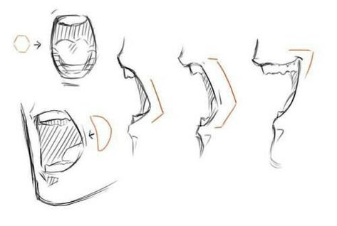 Open Mouth Drawing, Mouth Reference, Side View Drawing, Mouth Drawing, Drawing Expressions, Different Angles, Anatomy Drawing, Figure Drawing Reference, Anime Drawings Tutorials