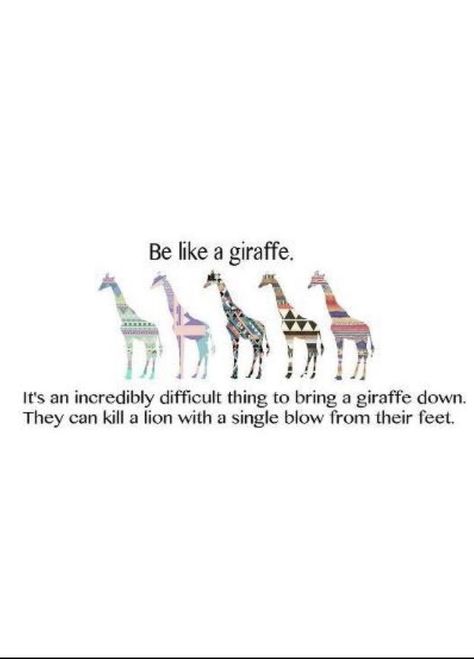 Giraffe Quotes, Friends Best Moments, Funny Giraffe, Strength Quotes, Fun Pics, Collage Board, Meaningful Drawings, Spirit Animals, A Giraffe