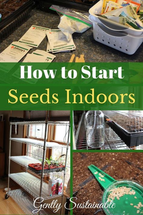 Homesteading Inspiration, Grow Seeds, Start Seeds Indoors, Seedlings Indoors, Garden 2023, Starting Seeds, Modern Homesteading, Homesteading Ideas, Sustainable Gardening