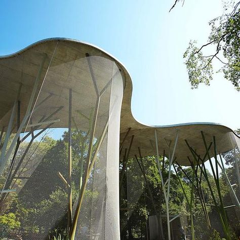 Image 4 of 11 from gallery of Webnet for Animal Enclosures | Jakob. Bois de la Bâtie Aviary Animal Enclosures, Acoustic Barrier, Bionic Design, Stair Well, Pavilion Architecture, Green Facade, Wall Systems, Design Competitions, Stage Design