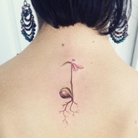 Semilla #tattoo #tatuaje #semilla #natural #planta #verde #natura Sprouting Seed Tattoo, Seed Tattoo Sprouting, Seed Sprouting Tattoo, Sprout Tattoo, Seed Tattoo, Woodland Backdrop, Painted Birdhouses, Sketchbook Prompts, Roots Logo