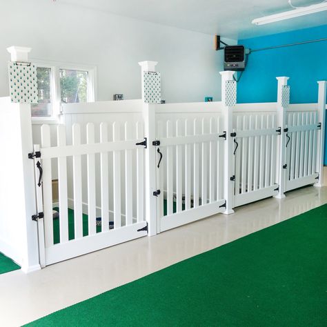 Dog Grooming Kennel Ideas, Pet Hotel Ideas, Pets Room Ideas, Dog Day Care Interior Design, Indoor Kennels For Dogs, Dog Shelter Ideas, Dog Hotel Design, Laundry Dog Room, Dog Hotel Rooms