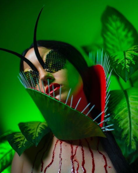 Venus Fly Trap Costume, Bug Costume, Venus Flytrap, Halloween Coustumes, Clever Halloween Costumes, Halloween Makeup Inspiration, Fly Trap, Venus Fly Trap, Halloween Inspo