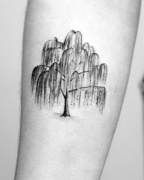 Crepe Myrtle Tree Tattoo, Weeping Willow Tattoos For Women, Nature Tattoos With Meaning, Hanging Tree Tattoo, Willow Tree Tattoo On Shoulder, Minimalist Willow Tree Tattoo, Angel Oak Tree Tattoo, Tree On Spine Tattoo, Mesquite Tree Tattoo