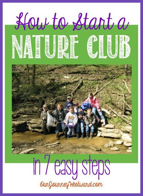 Whether you currently enjoy nature study time with your children or not, being part of a nature club is a great motivator and provides hours of fun learning time!   What is a nature study club… Safari Science, Nature Club, Outdoor Learning Activities, Homeschool Nature Study, Family Nature, Nature School, Outdoor Education, Learning Time, Environmental Education