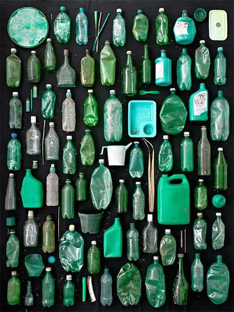 Found in Nature: A Photogaphic Project by Barry Rosenthal • Recyclart Knolling Photography, Recycled Home Decor, Trash Art, Plastic Art, Green Bottle, Design Textile, Healthy Ideas, Recycled Art, Stupell Industries