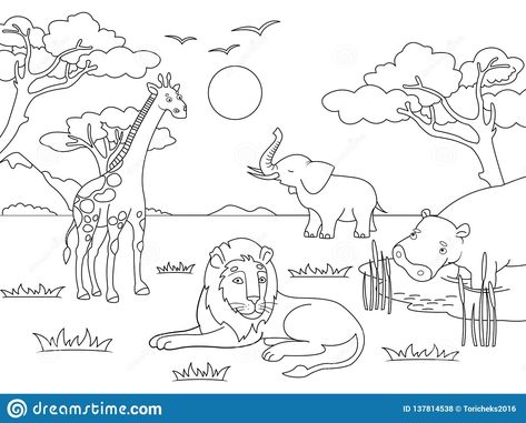 Zoo Animals For Kids, Zoo Drawing, Animals Of Africa, Leopard Drawing, Zoo Animal Coloring Pages, Toddler Drawing, Children Drawing, Story Books Illustrations, Drawing Animals