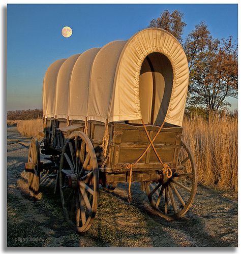 Walking Path, Horse Drawn Wagon, Frosty Morning, Old Wagons, The Oregon Trail, Wooden Wagon, Chuck Wagon, Wilde Westen, Covered Wagon