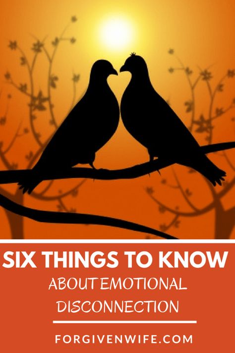 What does emotional disconnection look like to you? How To Detach Emotionally From Someone You Love, Emotionally Disconnected, Dating Emotionally Unavailable Men, How To Emotionally Connect Relationships, Physical Vs Emotional Attraction, Dating An Emotionally Unavailable Man, Why Do I Attract Emotionally Unavailable Men, I Choose Happy, Marriage Is Hard