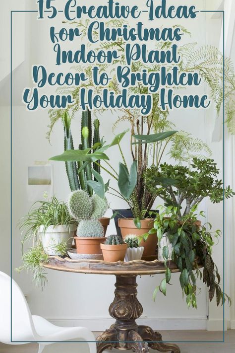 Transform your home this holiday season with our 15 Creative Ideas for Christmas Indoor Plant Decor. Discover how to incorporate lush greenery and festive plants to enhance your festive ambiance. From charming centerpieces to unique plant arrangements, these tips will bring warmth and cheer to your space. Perfect for adding a touch of nature to your holiday decor, these ideas will inspire you to create a cozy and inviting atmosphere this Christmas. Creative Ideas For Christmas, Plant Arrangements, Plant Decor Indoor, Ideas For Christmas, Unique Plants, Lush Greenery, Indoor Plant, Glitter Christmas, Plant Decor