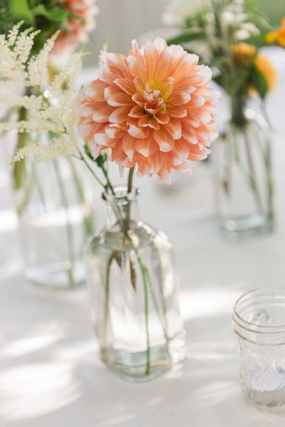 Lino Flowers, Spain Flowers, Restaurant Flowers, Peach Dahlia, California Backyard, Expensive Flowers, Wedding Motifs, Candles Wedding, Simple Wedding Centerpieces