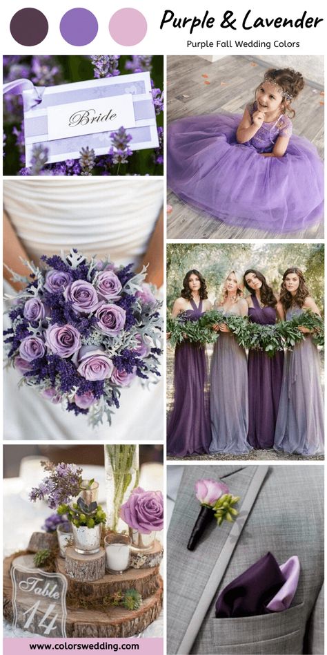 Purple And Lavender Wedding, Purple Wedding Flowers Bouquet, March Wedding Colors, Lavender Flower Girl Dress, Purple Fall Wedding, Lavender Wedding Theme, Wedding Color Scheme, Wedding Color Palettes, Lavender Bridesmaid