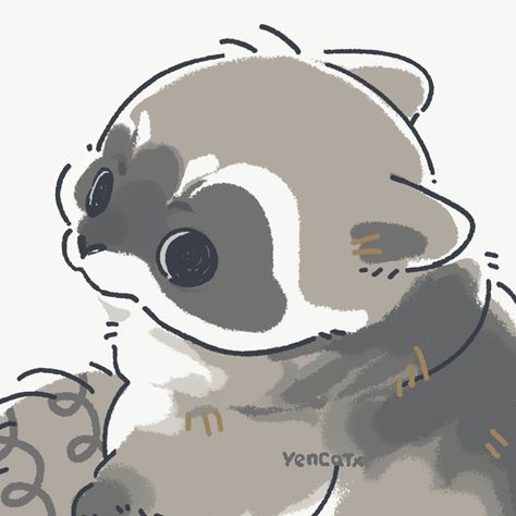 Volk. on Twitter: "Illustrations de l'artiste JR "Jars" Eisma. https://t.co/Et22LXpVXv" / Twitter Cute Raccoon Art, Racoon Sticker, Koala Art, Raccoon Drawing, Raccoon Art, Cute Kawaii Animals, 강아지 그림, Cute Raccoon, Anime Animals