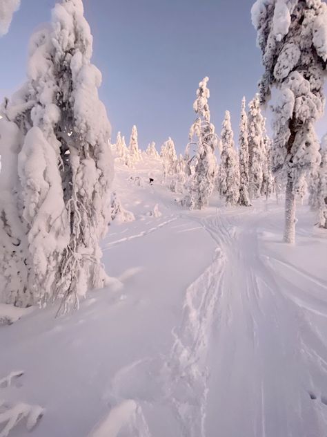 Lapland Finland Aesthetic, Lapland Aesthetic, Finland Holiday, Finland Aesthetic, Finland Winter, Winter Photography Nature, Finland Lapland, Skiing Aesthetic, Finnish Lapland