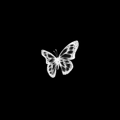 Black Butterflies Aesthetic, Baby Pink Wallpaper Iphone, Helloween Wallpaper, Butterfly Black And White, Blue Butterfly Wallpaper, Splash Images, Black App, Png Aesthetic, Emotional Photography