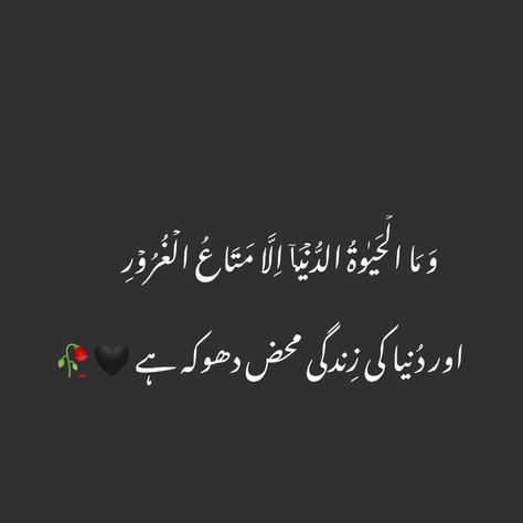 Islamic Hadees In Urdu, Qurani Ayat With Urdu Translation, Islamic Photo Frame, Quran Verses Wallpaper, Photo Muslim, Good Heart Quotes, Islamic Dp, Islamic Photo, Morals Quotes