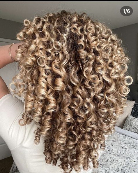 Curly Hair With Caramel Highlights, Blonde Highlights Curly Hair, Curly Blonde Hair, Dyed Curly Hair, Natural Curly Hair Cuts, Highlights Curly Hair, Brown Curly Hair, Brunette Hair With Highlights, Blonde Curly Hair