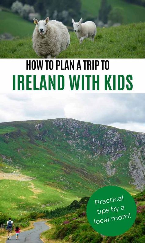 Bucket List Europe, Irish Vacation, Ireland With Kids, Trip To Ireland, Ireland Road Trip, Ireland Itinerary, Ireland Travel Guide, Theme Harry Potter, Ireland Vacation