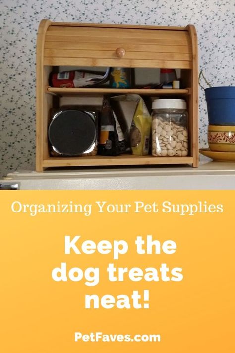 Dog Treat Container Ideas, Dog Treat Organization Ideas, Dog Treat Storage Ideas, Dog Treat Storage, Dog Treat Container, Clutter Solutions, Pet Friendly House, Dog Treat Jar, Sick Dog