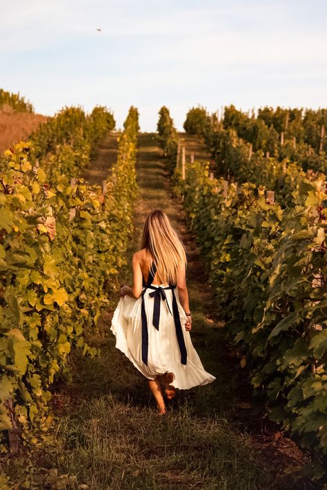 Vineyard Photography, Wine Vineyards, Summer Picture Poses, Party Photoshoot, Solo Photo, Summer Wines, Best Poses For Pictures, Shooting Photo, Friend Photoshoot